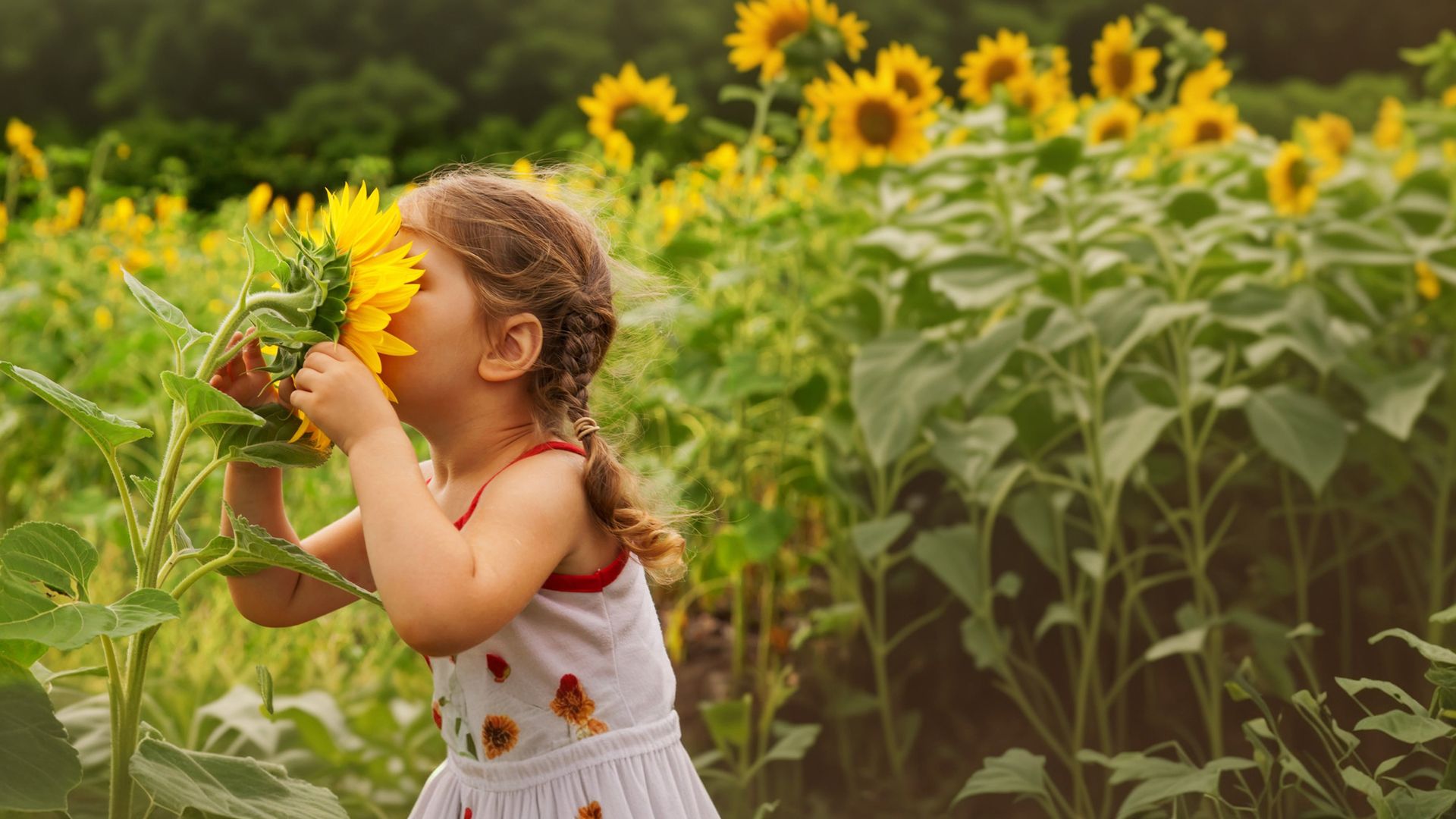 Sunflower Therapies